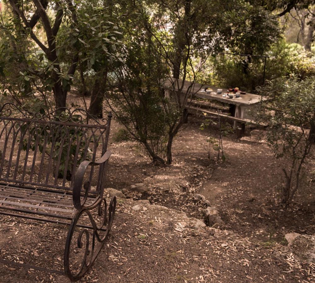 Villa Nel Giardino Dei Pesci Volanti San Pantaleo Exterior foto